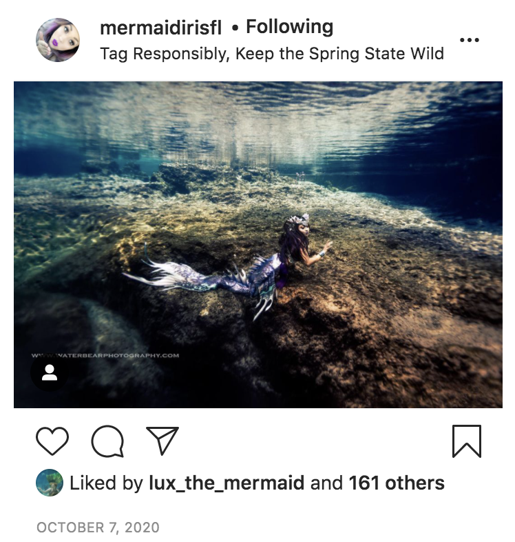 Mermaid Iris 